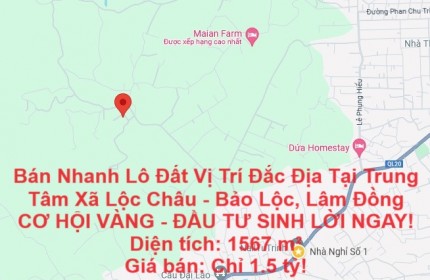 Bán Nhanh Lô Đất Vị Trí Đắc Địa Tại Trung Tâm Xã Lộc Châu - Bảo Lộc, Lâm Đồng